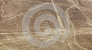 Parrot geoglyph, Nazca or Nasca mysterious lines, Peru photo