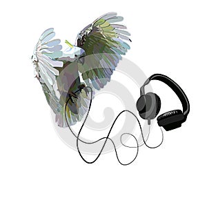 Parrot and headphones on a white background