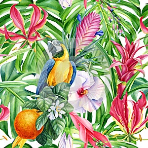 Parrot macaw, birds and flowers, watercolor illustration. Tropical seamless pattern. Floral background, digital paper