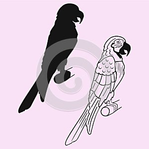 Parrot macaw vector silhouette