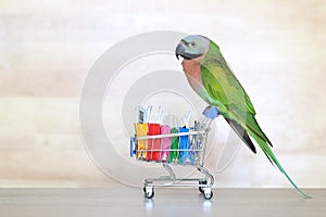Parrot on model miniature shopping cart and shopping bag on wooder background