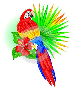 Parrot with palm leaf and hibiscus