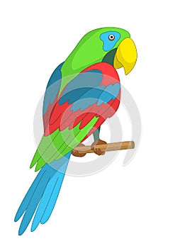 Parrot on a pole