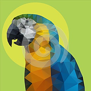 Parrot polygon Vector