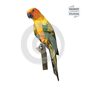 Parrot polygon vector