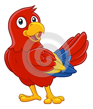 Parrot Red Macaw Bird Cartoon Wildlife Mascot