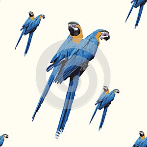 Parrot seamless repeating vector pattern