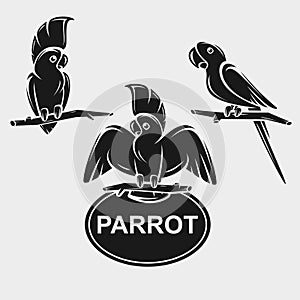 Parrot set. Collection icon parrot. Vector