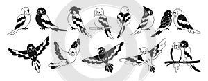 Parrot tropical doodle glyph set summer wild exotic flying bird wildlife jungle Hawaiian vector