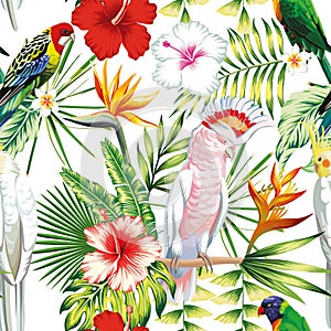 Parrot tropical flowers and leaves seamless pattern white backgr