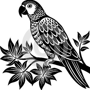 Parrot Vector and Illustration Unique Design