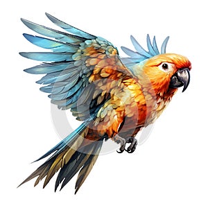 parrot watercolor illustration
