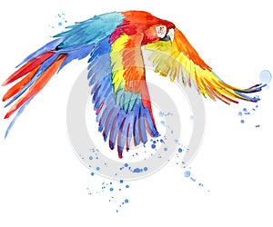 Parrot. Watercolor Parrot illustration. Tropical bird watercolor.