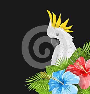 Parrot White Cockatoo with Colorful Hibiscus Flowers Blossom and Tropical Leaves