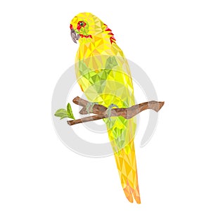 Parrot in Yellow bird Indian Ringneck alexander polygons on branch  on a white background vintage vector illustration