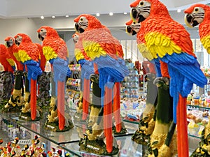 Parrots all lined up for sale and display