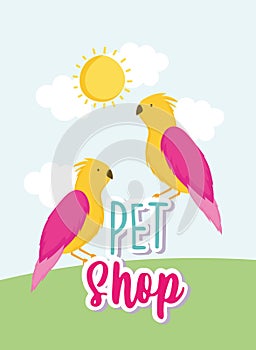 parrots birds cartoon animals lettering pet shop