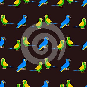 Parrots birds seamless pattern animal nature tropical parakeets education colorful pet vector illustration