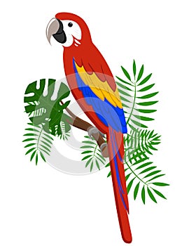 Parrots Cartoon Vector Illustration. Parrot set Exotic birds