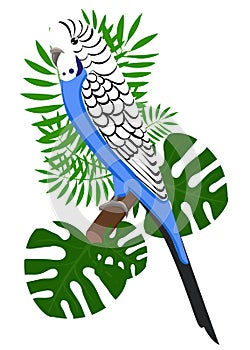 Parrots Cartoon Vector Illustration. Parrot set Exotic birds