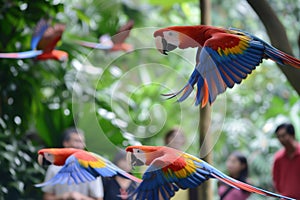 parrots flying in a zoo aviary as visitors look on