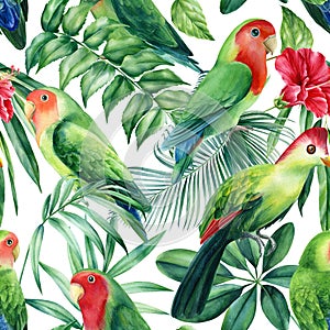 Parrots lovebirds and tropical plants on white background, watercolor botanical illustration. Seamless patterns.
