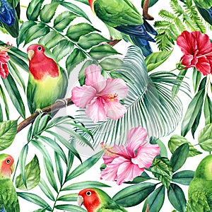 Parrots lovebirds and tropical plants on white background, watercolor botanical illustration. Seamless patterns.