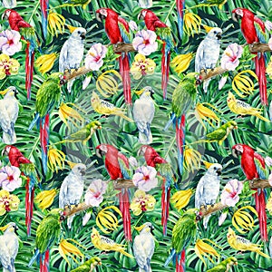 Parrots, Tropical birds, exotic plants jungle, leaves and orchid, hibiscus flowers, seamless pattern, palm background