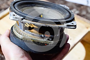 Parsing the speaker. Subwoofer 15gdn