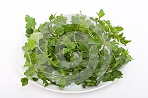 Parsley