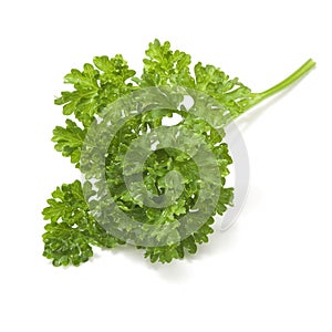 Parsley