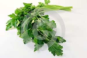 Parsley photo