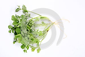 Parsley