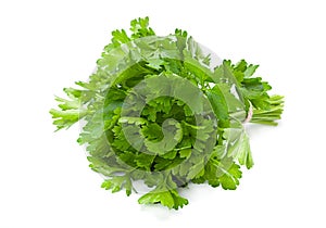 Parsley aromatic herb