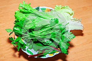 Parsley beet leaves and cabbage