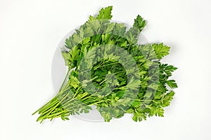 Parsley bunch isolated on white background. Parsley herb leaves
