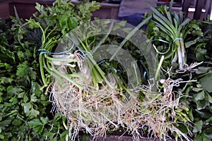 Parsley and chives tied to be sold at the fair