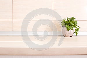 Parsley on countertop