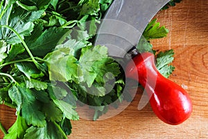 Parsley on the cutting board. Garden vegetables.