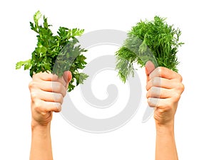 Parsley and dill