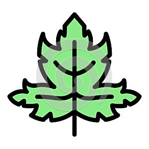 Parsley farm icon color outline vector