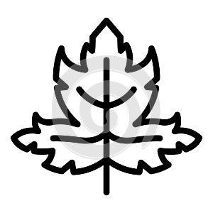 Parsley farm icon, outline style