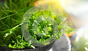 Parsley. Fresh organic parsley leaves in metal colander on a table. Diet, dieting concept. Vegan food, healthy eating