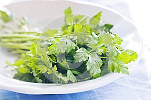 Parsley