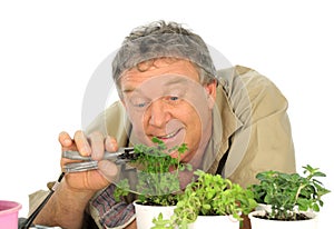 Parsley Gardener