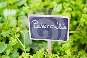 Parsley german: Petersilie sign closeup on food market