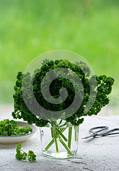 Parsley in glass at window sill