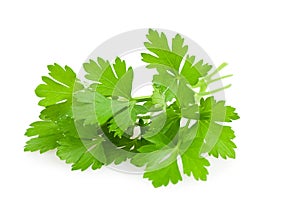 Parsley