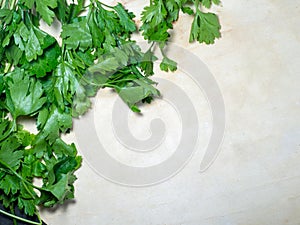 Parsley greens on the table. Cutting board. Cooking. Vegan food. Useful product. Ingredient for vegetable soup