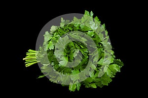 Parsley herb bunch